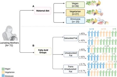 Fatty acid profile driven by maternal diet is associated with the composition of human milk microbiota